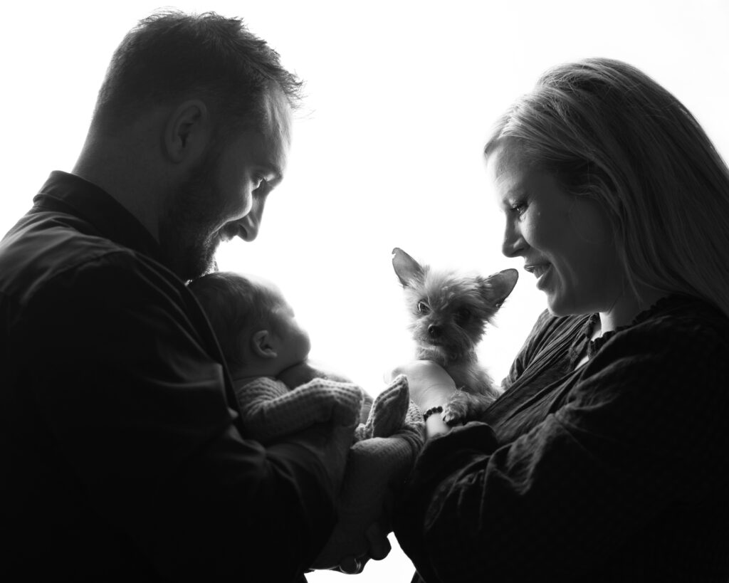 backlit newborn photography featuring a baby, parents, and a puppy in Utah County Eagle Mountain